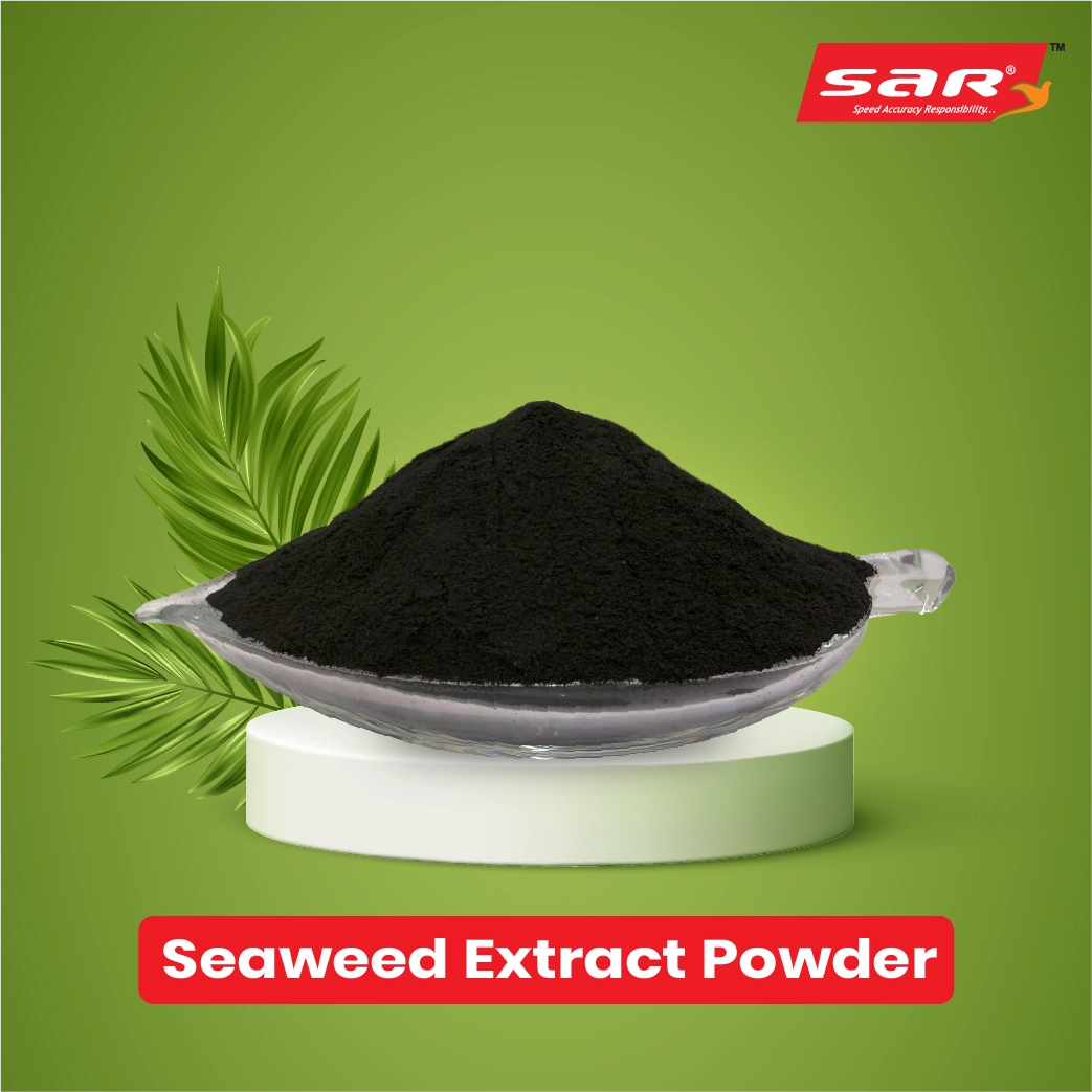 Seaweed Extract Powder