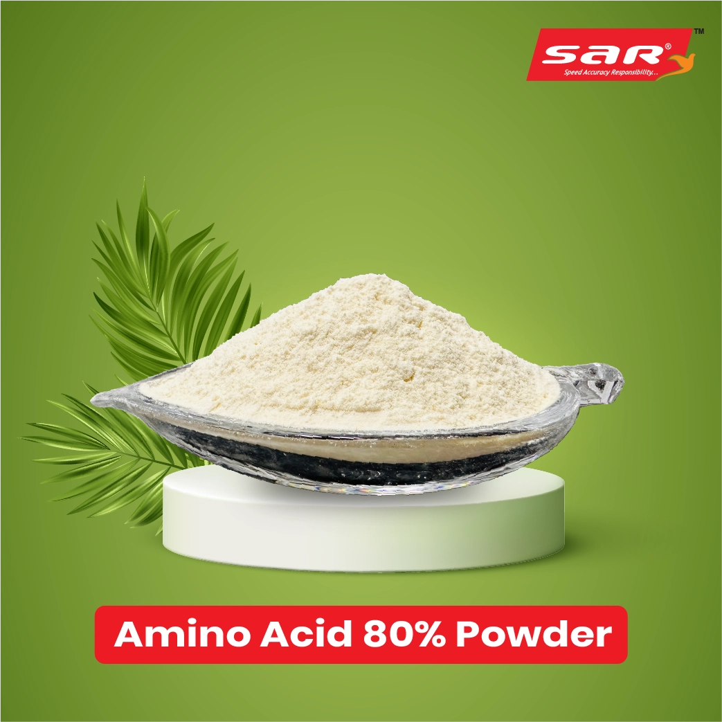 Amino Acid 80