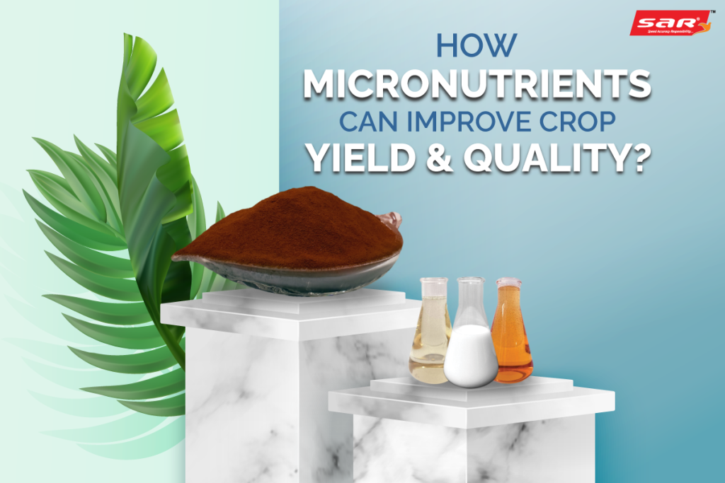 How Micronutrients Can Improve Crop Yield and Quality?