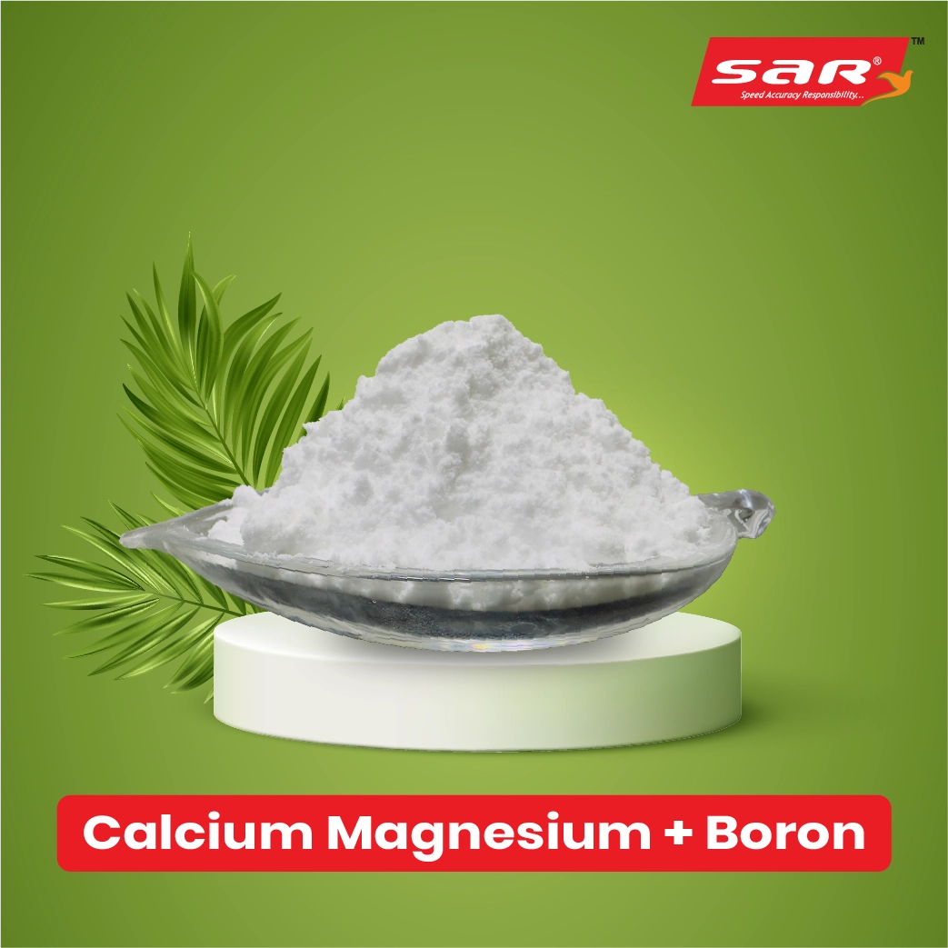 Calcium Magnesium with Boron