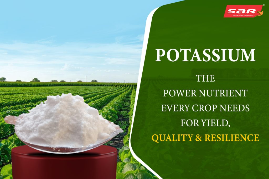Potassium for Stronger Plants
