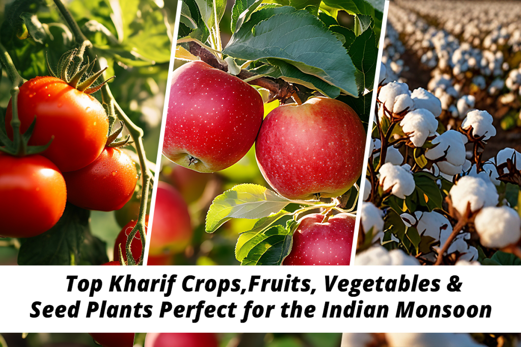 Top-Kharif-Crops,-Fruits,-Vegetables-&-Seed-Plants-Perfect-for-the-Indian-Monsoon Kharif Crops