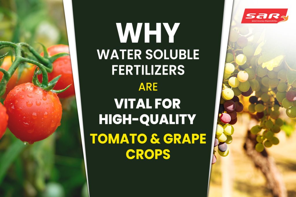 Water Soluble Fertilizers