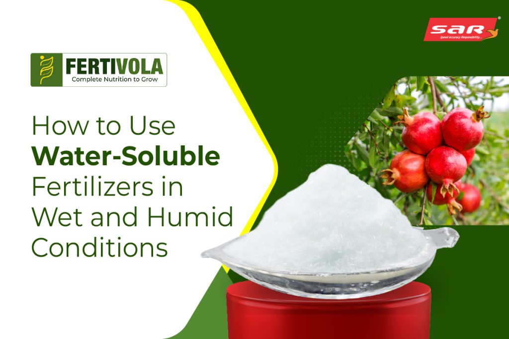 How to use water soluble fertilizer in wet and humid conditions 