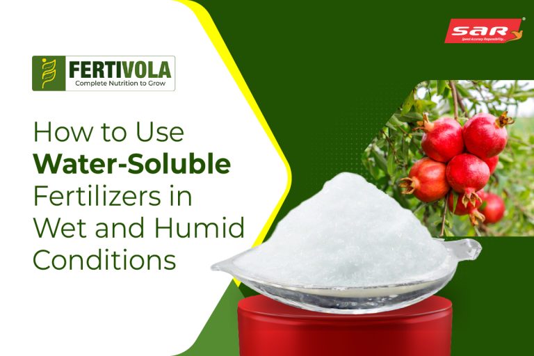 How to use water soluble fertilizer in wet and humid conditions 