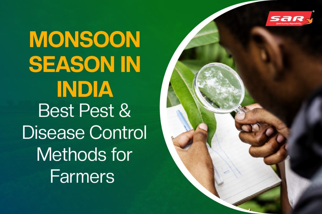 Monsoon Season in India