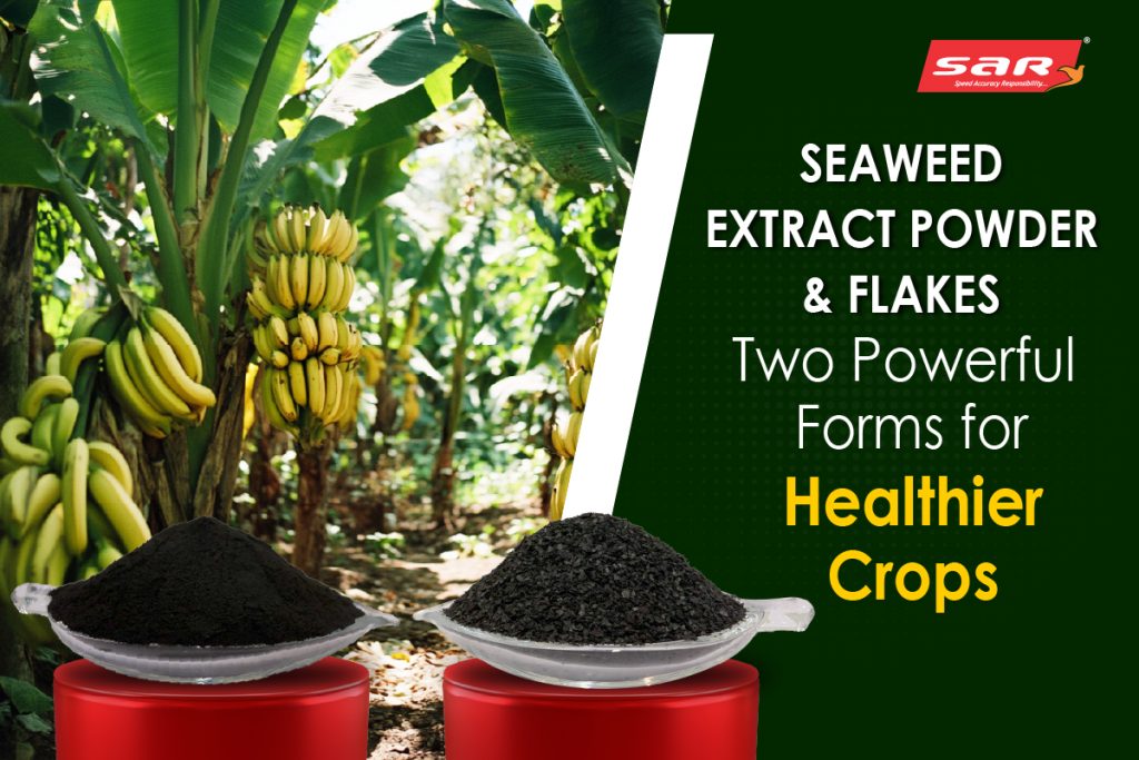 Seaweed Extract